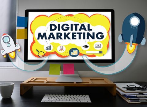Digital marketing portfolio by trifox media